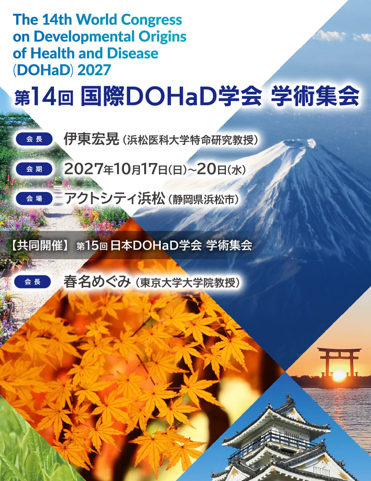 The 14th World Congress on DOHaD 2027 （第14回 国際DOHaD学会学術集会）